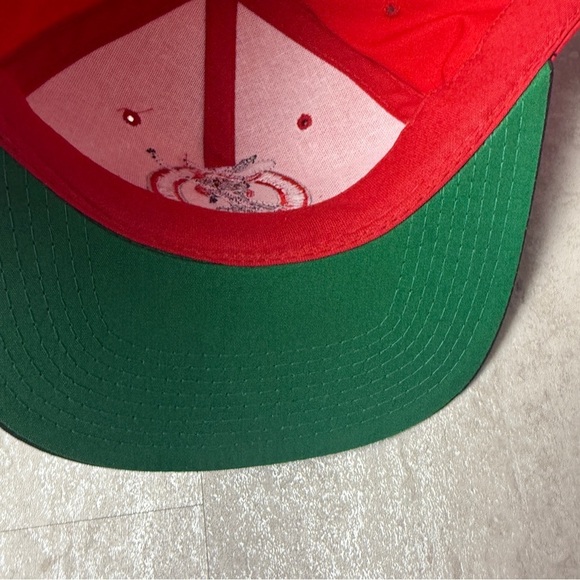 Vintage Starter UNLV Runnin' Rebels hat pinstripe rare 90's - Picture 6 of 7